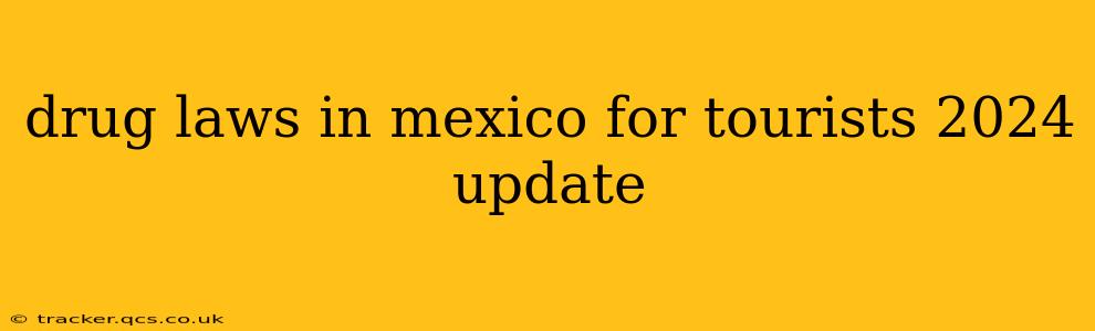 drug laws in mexico for tourists 2024 update