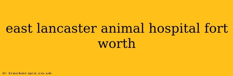 east lancaster animal hospital fort worth