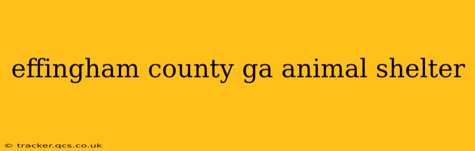 effingham county ga animal shelter
