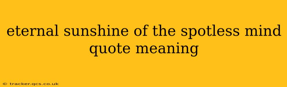 eternal sunshine of the spotless mind quote meaning