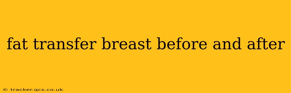 fat transfer breast before and after