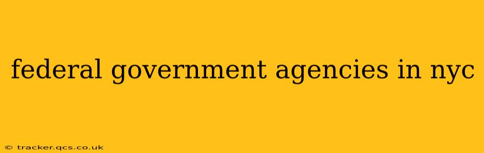 federal government agencies in nyc