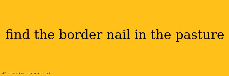 find the border nail in the pasture