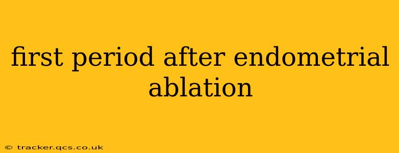 first period after endometrial ablation