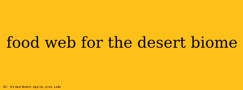 food web for the desert biome