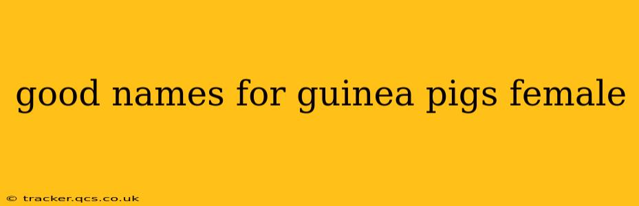 good names for guinea pigs female