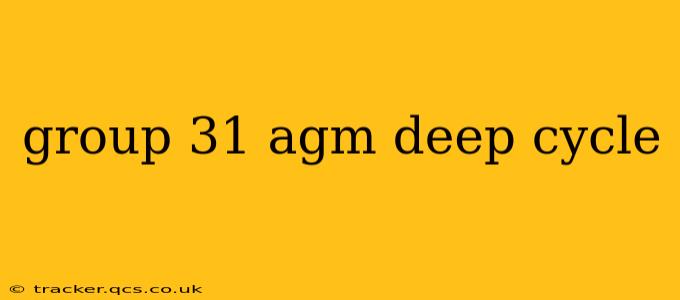 group 31 agm deep cycle