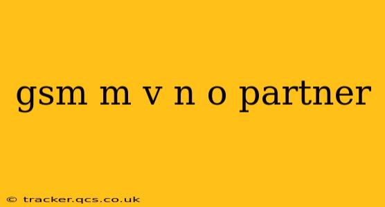 gsm m v n o partner