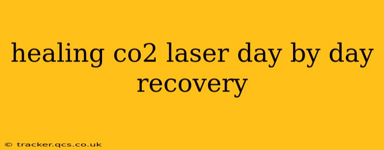 healing co2 laser day by day recovery