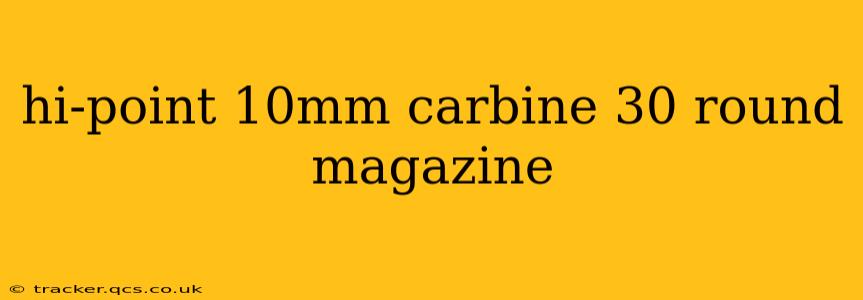 hi-point 10mm carbine 30 round magazine