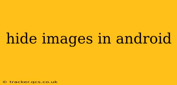 hide images in android