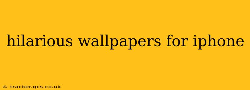 hilarious wallpapers for iphone