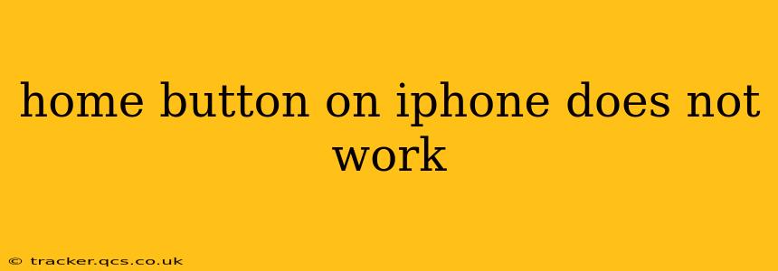 home button on iphone does not work
