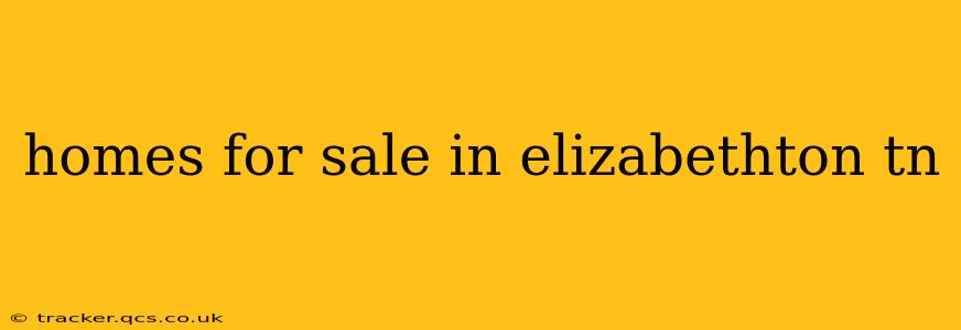 homes for sale in elizabethton tn