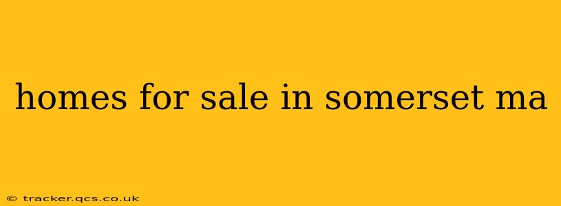 homes for sale in somerset ma