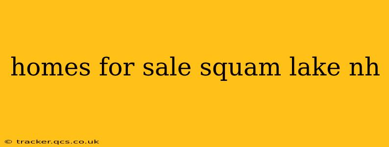 homes for sale squam lake nh