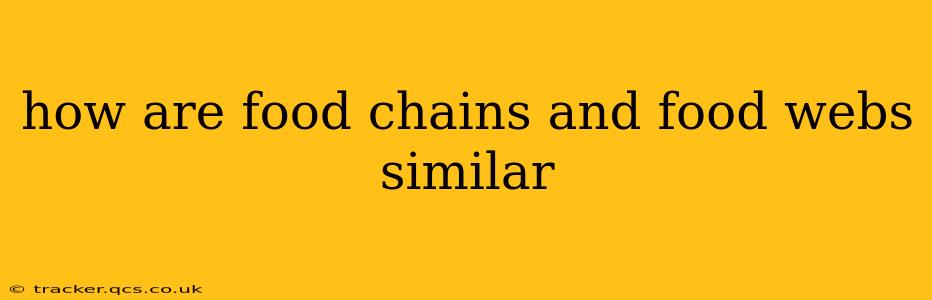 how are food chains and food webs similar