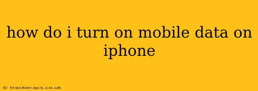how do i turn on mobile data on iphone