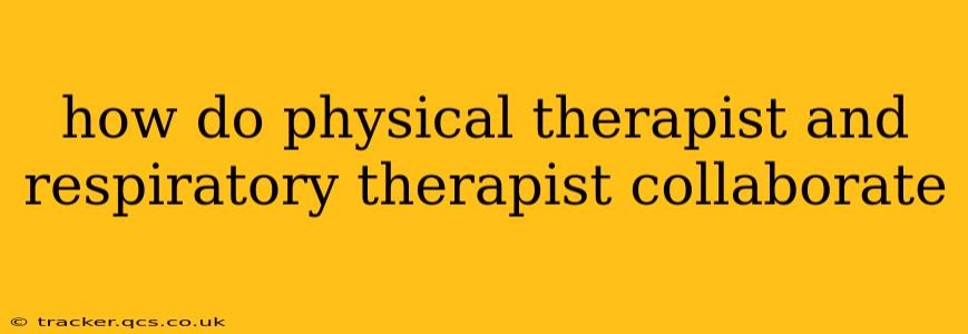how do physical therapist and respiratory therapist collaborate