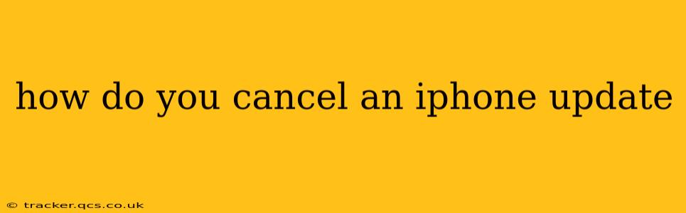 how do you cancel an iphone update