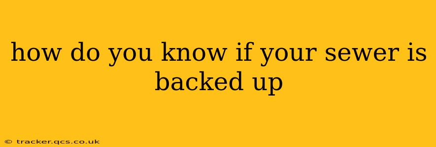 how do you know if your sewer is backed up