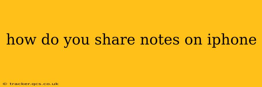 how do you share notes on iphone