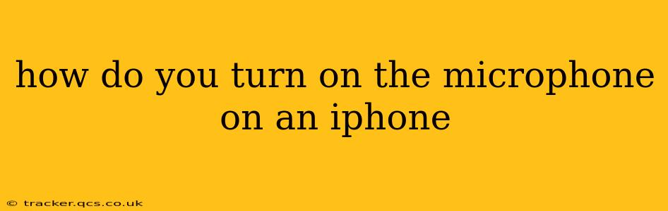 how do you turn on the microphone on an iphone