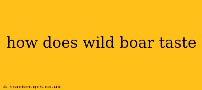 how does wild boar taste