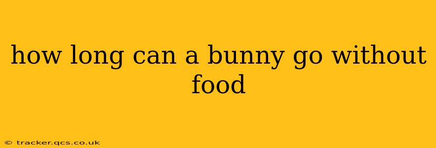 how long can a bunny go without food