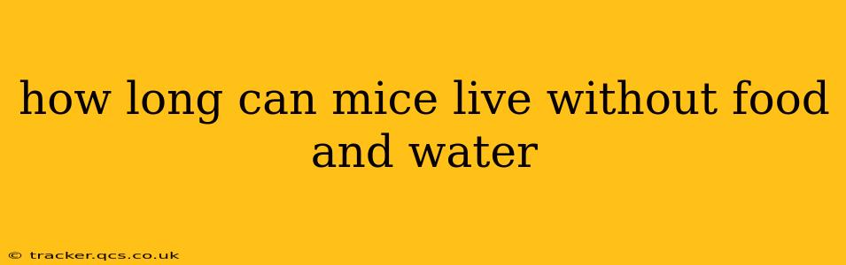 how long can mice live without food and water
