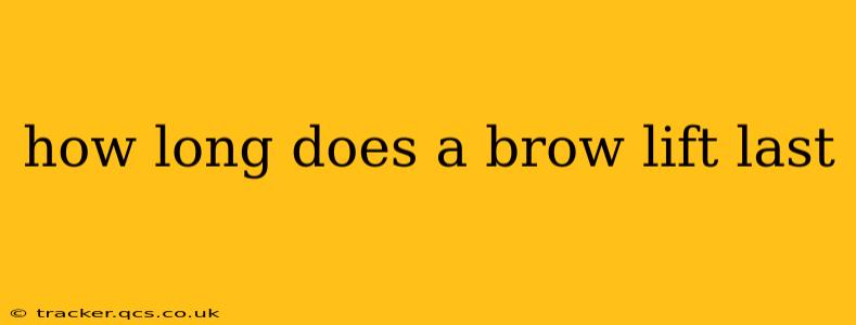 how long does a brow lift last