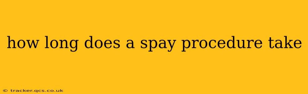 how long does a spay procedure take