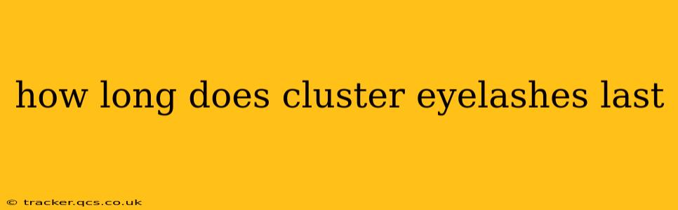 how long does cluster eyelashes last