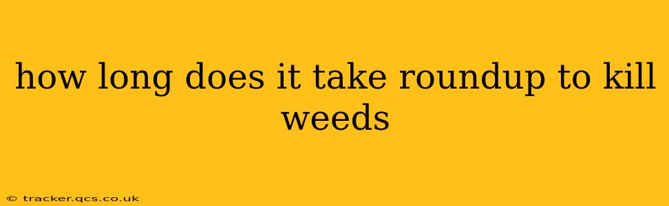 how long does it take roundup to kill weeds