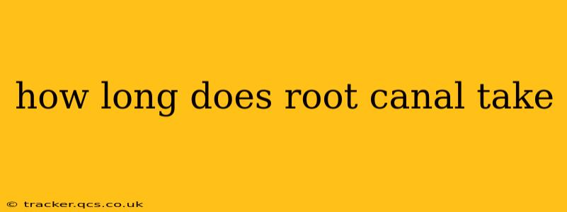 how long does root canal take