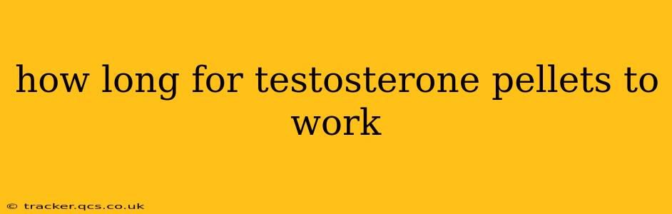 how long for testosterone pellets to work