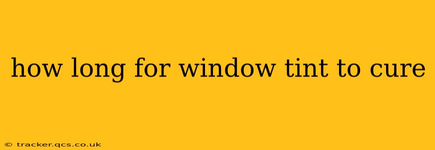 how long for window tint to cure