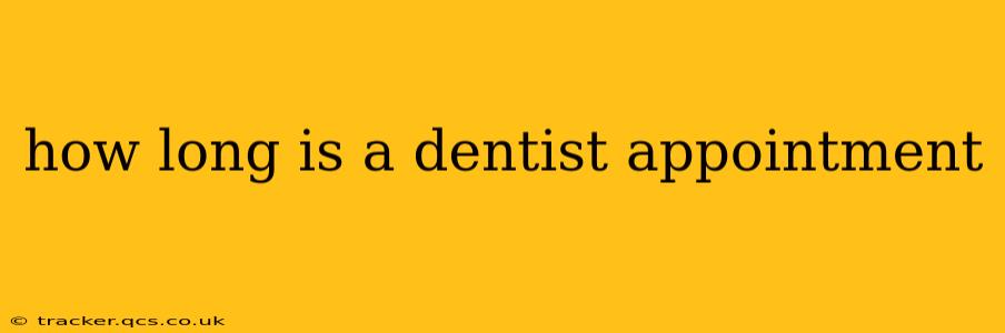 how long is a dentist appointment