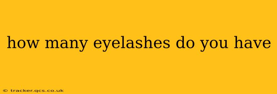 how many eyelashes do you have