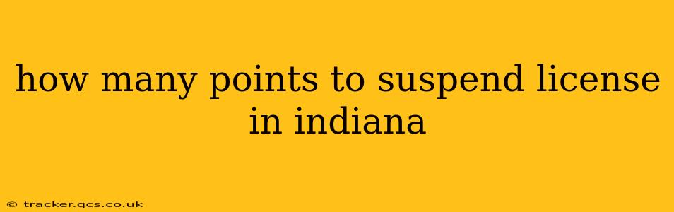 how many points to suspend license in indiana