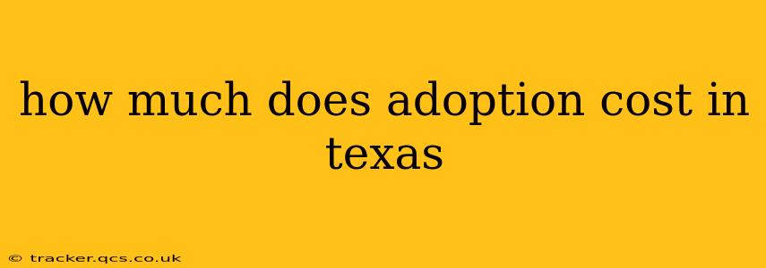 how much does adoption cost in texas