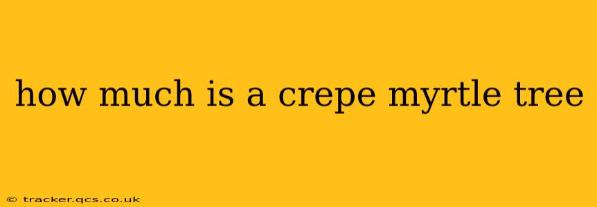 how much is a crepe myrtle tree