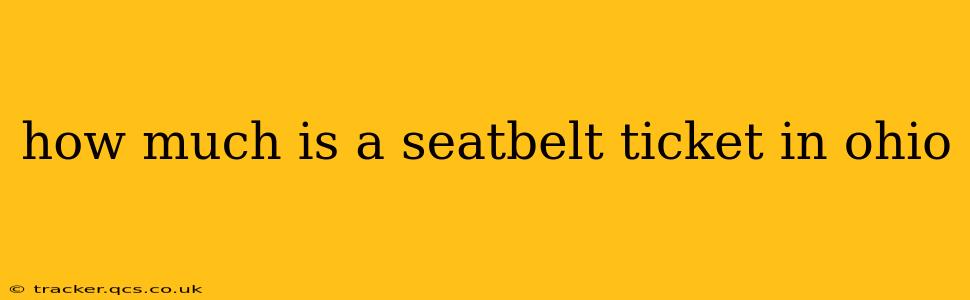 how much is a seatbelt ticket in ohio