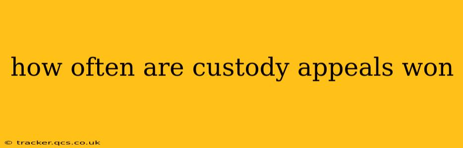 how often are custody appeals won
