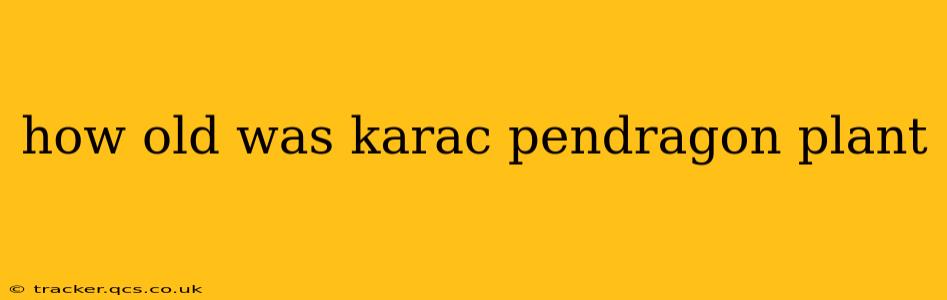 how old was karac pendragon plant