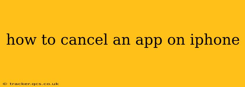 how to cancel an app on iphone