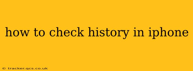 how to check history in iphone