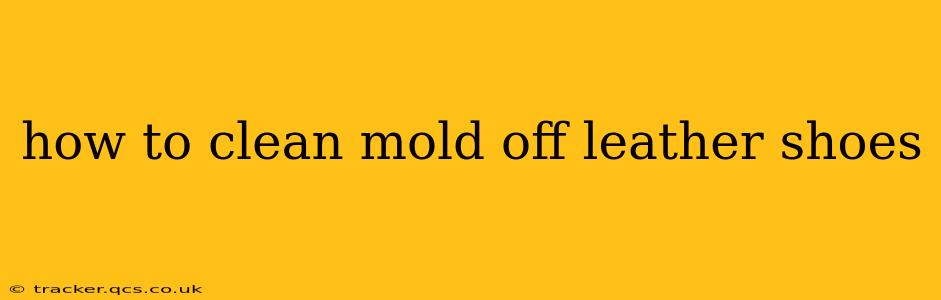 how to clean mold off leather shoes
