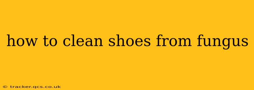 how to clean shoes from fungus
