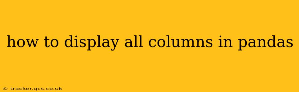 how to display all columns in pandas